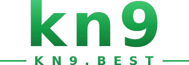 kn9 logo